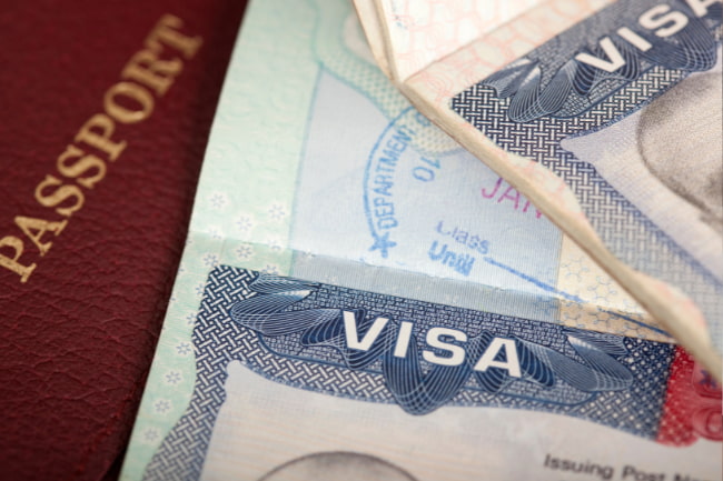 Investor/Partner Visa